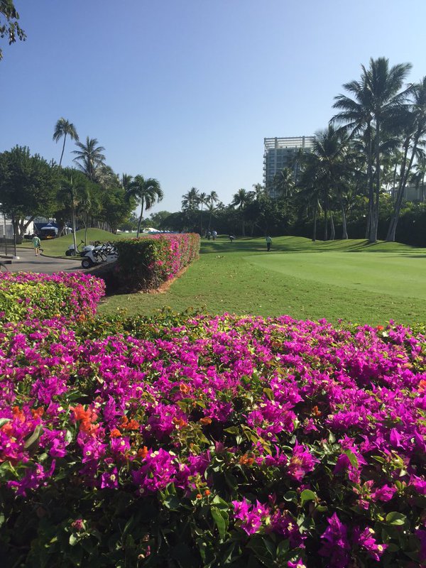 #matrixshafts team checking in from @SonyOpenHawaii ⛳️ https://t.co/ImUa6MHpmY